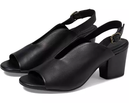 Туфли Bueno Clare, черный