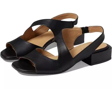 Туфли Bueno Gina, черный