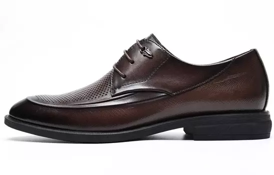 Туфли CВ°BANNER Dress Shoes Men Low-Top Brown