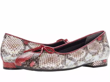 Туфли David Tate, Delmar