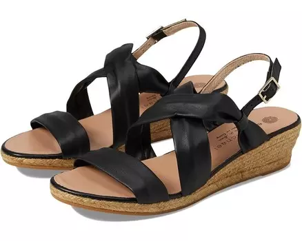 Туфли Eric Michael Coco, черный