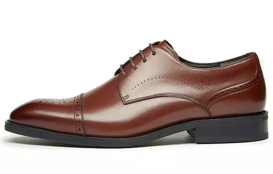 Туфли KANGNAI Dress Shoes Men Low-Top Brown