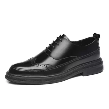 Туфли мужские низкие черный Shanpijiang