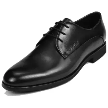 Туфли мужские низкие Goldlion, черный