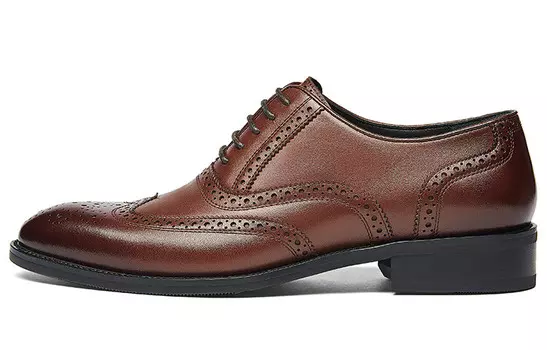 Туфли мужские низкие коричневый Kangnai