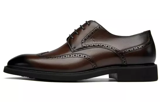 Туфли мужские низкие коричневый Roberta Di Camerino