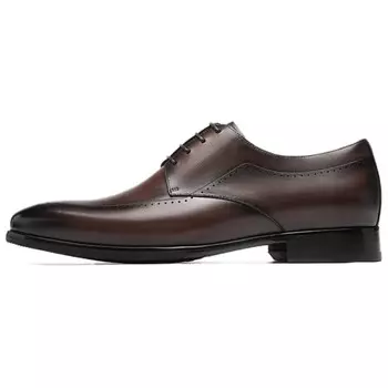 Туфли мужские низкие Roberta Di Camerino, цвет Coffee