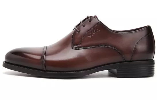 Туфли мужские с низким верхом цвета кофе Satchi, цвет Coffee