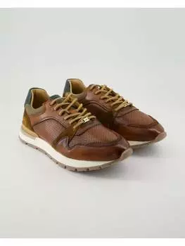 Туфли на шнуровке Ambitious, коричневый