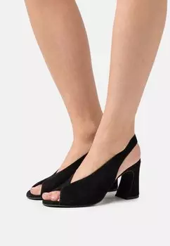 Туфли Paul Green, черный