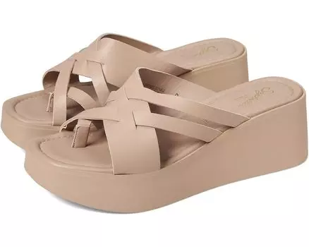 Туфли Seychelles Rock Steady, цвет Blush Leather