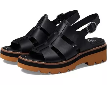 Туфли Sofft Patrina, черный