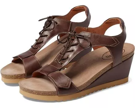 Туфли Taos Footwear Tie Wish, цвет Espresso