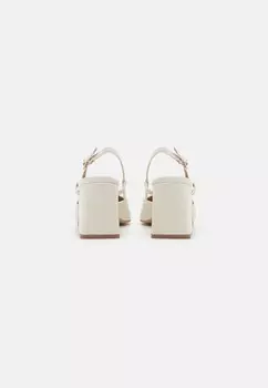 Туфли ZEINA Steve Madden, черный