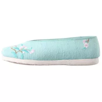 Туфли женские повседневные Women's Casual Shoes Women's Neiliansheng, синий