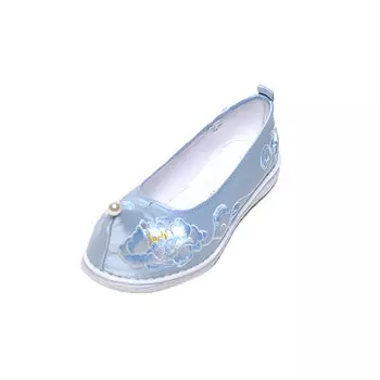 Туфли женские повседневные Women's Casual Shoes Women's Neiliansheng, синий