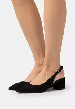 Туфли Zign, черный