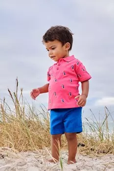 Твиловые шорты чинос для мальчика JoJo Maman Bb