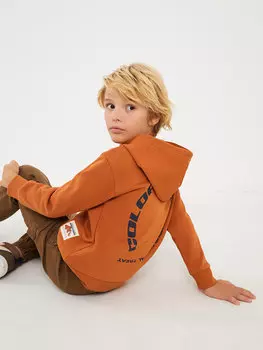 Удобная толстовка для мальчика с принтом LCW Kids, светло-коричневый