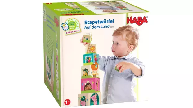 Укладка кубиков в деревне Haba