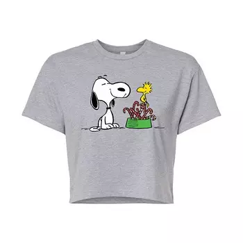 Укороченная футболка для юниоров Peanuts Snoopy & Woodstock Candy Canes Licensed Character, цвет Heather Gray