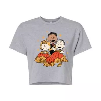 Укороченная футболка Juniors Peanuts Pumpkin Trio Licensed Character, серый