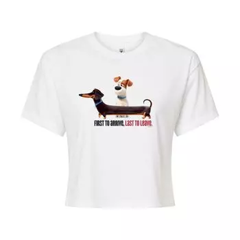 Укороченная футболка с рисунком Juniors' Secret Life Pets Arrive Licensed Character, белый