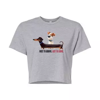 Укороченная футболка с рисунком Juniors' Secret Life Pets Arrive Licensed Character, серый