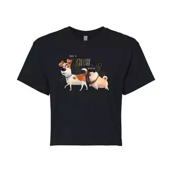 Укороченная футболка с рисунком Juniors' Secret Life Pets Do I Know You Licensed Character, черный