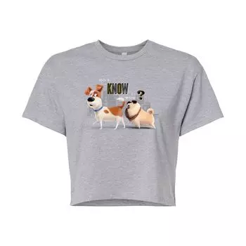Укороченная футболка с рисунком Juniors' Secret Life Pets Do I Know You Licensed Character, серый