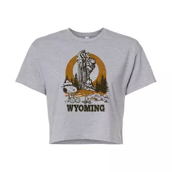 Укороченная футболка с рисунком Old Faithful для детей Peanuts "Wyoming" Licensed Character, серый