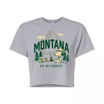 Укороченная футболка с рисунком Peanuts Montana для юниоров Licensed Character, серый