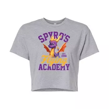 Укороченная футболка с рисунком Spyro Academy для юниоров Licensed Character, серый