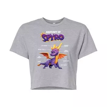 Укороченная футболка с рисунком Spyro Anatomy для юниоров Licensed Character, серый