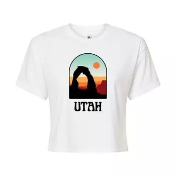 Укороченная футболка с рисунком Utah Arches для юниоров Licensed Character, белый