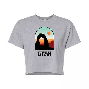 Укороченная футболка с рисунком Utah Arches для юниоров Licensed Character, серый