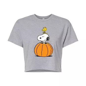 Укороченная футболка с тыквой для подростков Peanuts Snoopy & Woodstock Licensed Character, цвет Heather Gray