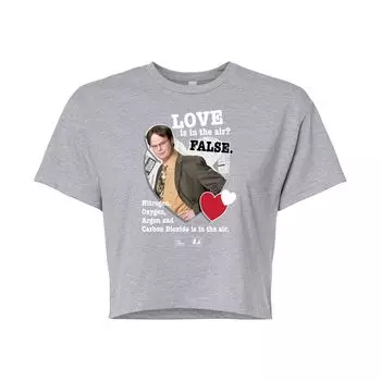 Укороченная футболка The Office Love In Air для юниоров Licensed Character, серый