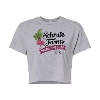 Укороченная футболка The Office Schrute Farms для юниоров Licensed Character, серый