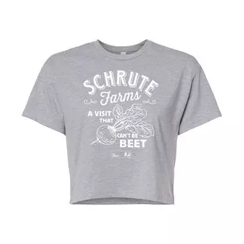 Укороченная футболка The Office Schrute Farms для юниоров Licensed Character, серый