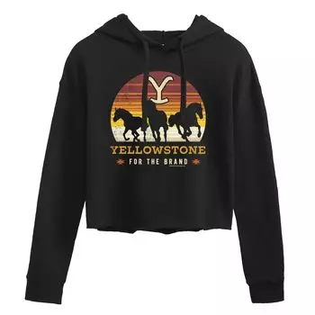 Худи с рисунком Yellowstone Wild Horses Licensed Character, черный