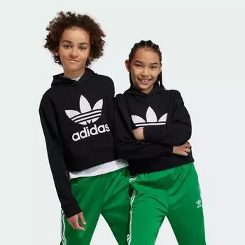 Укороченное худи Adicolor Adidas, цвет Black