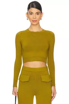 Укороченный топ с длинными рукавами Joostricot, цвет cardamon