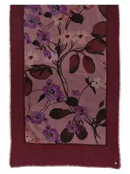 Украл Fraas, красный