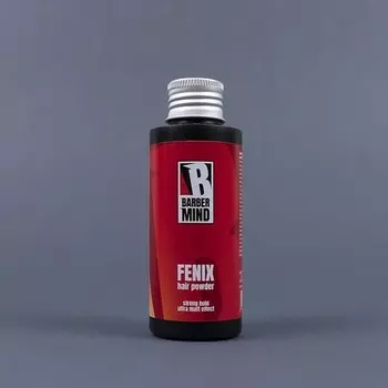 Ультраматовая текстурирующая пудра Fenix, Barber Mind