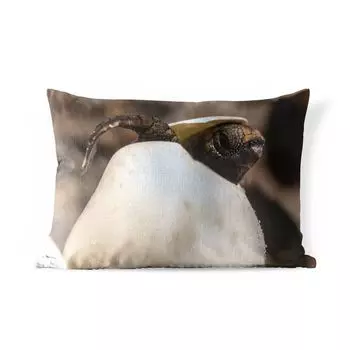 Уличная подушка MuchoWow - Черепаха - Детская - Яйцо - 60x40 см - Защита от атмосферных воздействий - Подушка для отдыха - Чехлы для подушек - Декоративные чехлы для подушек - Декоративные чехлы для подушек, мультиколор