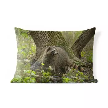 Уличная подушка MuchoWow - Енот - Дикий - Лес - 50x30 см - Устойчивость к атмосферным воздействиям - Подушка для отдыха - Чехол на подушку - Хлопчатобумажная ткань - Декоративные наволочки, мультиколор