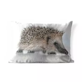 Уличная подушка MuchoWow — Ежик на белом фоне — 50x30 см — Устойчивость к атмосферным воздействиям — Подушка для отдыха — Чехол на подушку — Хлопчатобумажная ткань — Декоративные наволочки, мультиколор