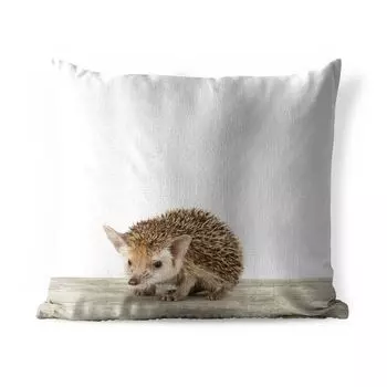 Уличная подушка MuchoWow - Ежики - Животные - Мальчики - Девочки - 50x50 см - Устойчивость к атмосферным воздействиям - Подушка для отдыха - Чехол на подушку - Хлопчатобумажная ткань - Декоративные наволочки, мультиколор