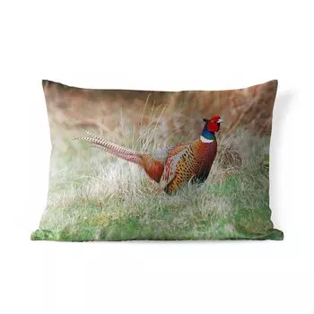 Уличная подушка MuchoWow - Фазан - Трава - Зима - 60x40 см - Устойчивость к атмосферным воздействиям - Подушка для отдыха - Чехлы для подушек - Декоративные чехлы для подушек - Декоративные чехлы для подушек, мультиколор